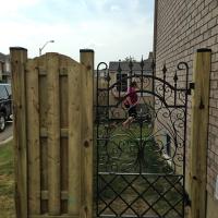 Wood Fence & Iron Gate