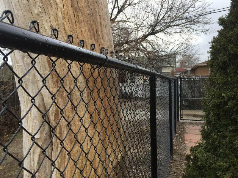 Black chain link fence down side of house with a tree