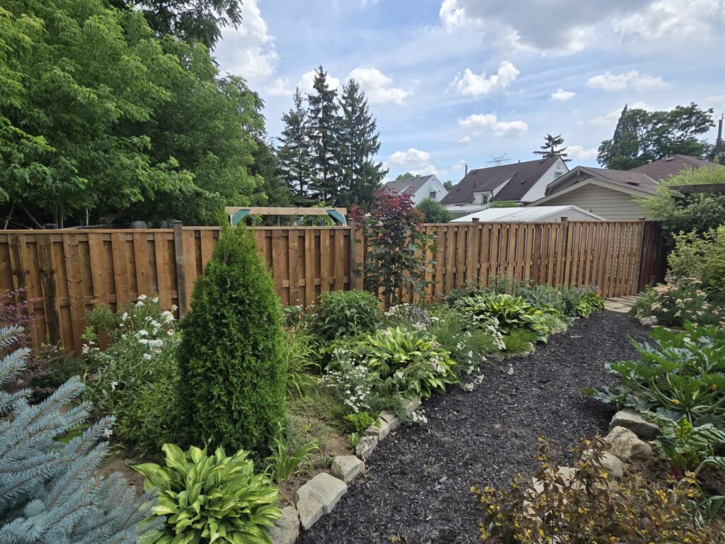shadowbox good neighbour wood fence beside a backyard garden
